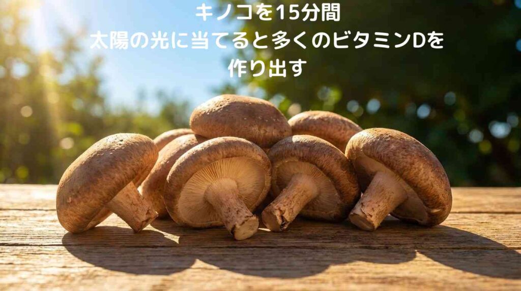 きのこを太陽に当てるとビタミンDが作られる
