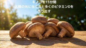 きのこを太陽に当てるとビタミンDが作られる
